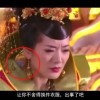 49tkͼĲʿapp